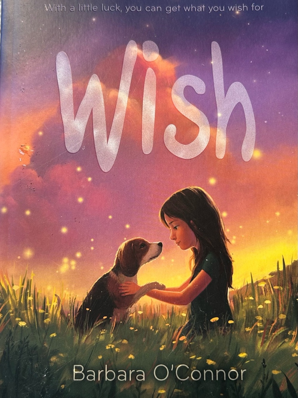 Wish Softcover Childrens Book Barbara O'Conner 11 Yr Old Girl Moves to New Town